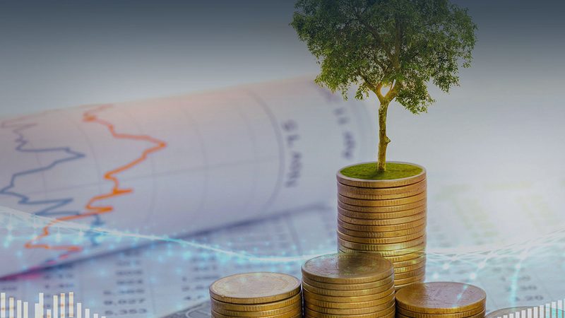企业发展的起点：招商计划书与商业计划书的定义